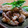 haru美活動中。's cooksnap of when they made 軟骨の唐揚げ〜和風味〜.
