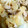 kumico124's cooksnap of when they made 新たまねぎを食べる豚肉のしょうが焼き.