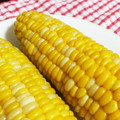 ハルニョッキ's cooksnap of when they made とうもろこしの茹で方　旨い！簡単！完璧！.