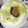 morio28's cooksnap of when they made さっぱり梅レタスそうめん＊.