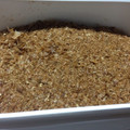 あけぐり's cooksnap of when they made 出がらしの鰹節を有効利用！鰹ふりかけ！.