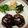 ★お料理始めました★'s cooksnap of when they made *ハンバーグソース*.