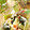 milk＊crown's cooksnap of when they made トマトとわかめのあえもの.