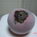 ワンピ's cooksnap of when they made ✿柿だけでシャーベット✿.