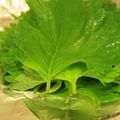 chocomegi's cooksnap of when they made 大葉の保存方.