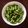M3doors111's cooksnap of when they made おつまみに♪美味しい枝豆の茹で方.