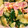 未衣。's cooksnap of when they made きゅうりと卵のシンプル炒め.