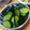 ともぱんたから's cooksnap of when they made きゅうりの浅漬け.