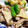えっか♫'s cooksnap of when they made 豚肉と茸のバター炒め～中華風～お弁当にも.