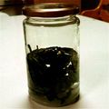 新葵まま's cooksnap of when they made 絶対役立つ！果実酒④「ミント酒｣.