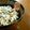 LoveKanon's cooksnap of when they made 鯖そうめん.