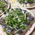XRR's cooksnap of when they made 鯵(鯖)酢〆☆おもてなしに鯵(鯖)寿司★.
