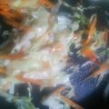 ☆しいたんママ☆'s cooksnap of when they made 肉なし☆春キャベツと人参・ニラ炒め♪.