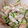 かいきち君's cooksnap of when they made スイカの皮のごま塩麹あえ.