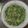 おくみの's cooksnap of when they made 大根菜炒め.