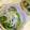 さなもーたん's cooksnap of when they made きゅうりとしらすの酢の物.