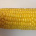 rinsara12's cooksnap of when they made トウモロコシの茹で方.
