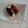 ロビ吉's cooksnap of when they made お手軽みたらし団子.