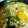 おろくにける's cooksnap of when they made 道楽　豆腐チゲ.
