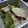 おぼりんりん's cooksnap of when they made 簡単♪豚肉とピーマンの甘辛炒め☆.