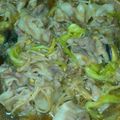 あおまんjapan's cooksnap of when they made 豚バラとエノキ煮♡.