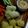 caches's cooksnap of when they made 野菜ディップ〜セブンイレブン風〜.