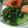 皆殿ようこ's cooksnap of when they made トマトときゅうりとワカメの酢のもの.