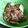 White-Plumeria's cooksnap of when they made 食欲倍増焼肉のタレ.