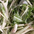 かとうねこ's cooksnap of when they made 水菜大根ツナマヨ梅サラダ.