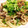 chokobi's cooksnap of when they made ♪和風焼きうどん♪.