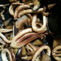 いブレイン∞'s cooksnap of when they made するめいかと茄子のコチュジャン炒め.