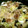 TAO1108's cooksnap of when they made 豚こま*野菜*春雨の中華炒め.