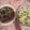 めろちゃん♪'s cooksnap of when they made マグロとトマトの中華風夏サラダ.