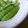 kemeta's cooksnap of when they made スナップ豌豆のにんにく炒め.
