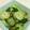 70cafe's cooksnap of when they made 青梗菜とイカのピリ辛オイスターソース炒め.