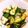 くぱべる's cooksnap of when they made キュウリの七味おかか塩麹和え.