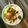 Kuronite's cooksnap of when they made 魚二ソ卵ご飯.