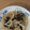 きらり流れ星's cooksnap of when they made ＊さっぱり美味✿もやしの梅おろし和え＊.