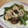 きらり流れ星's cooksnap of when they made 夏野菜と豚肉のオイスター炒め.