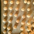 どやどや's cooksnap of when they made 生おからで簡単アーモンドビスコッティ♪.