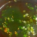 ★mayo★'s cooksnap of when they made 目指せ！！焼肉屋さんのワカメスープ♪.