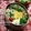ローズ☆ドバイ's cooksnap of when they made お弁当に☆ベーコンいりチーズはんぺん.