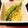 ｙｕｋｉｃｈｉｎ's cooksnap of when they made 簡単副菜☆絹さやの卵とじ.