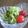 ピスにゃん's cooksnap of when they made 付け合わせ～野菜の塩昆布あえ.