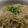 グッドナッツ's cooksnap of when they made 夏に♪ピリ辛まぜ素麺♡油そば風.