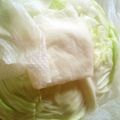 連毛たん's cooksnap of when they made いつでもフレッシュ!キャベツの保存.