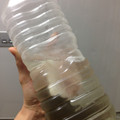 美味しんぼ通の男's cooksnap of when they made 簡単だし！おいしいし！の、水出し天然ダシ.