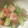 ぴーの助's cooksnap of when they made 青梗菜のにんにく炒め.