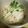ぴーの助's cooksnap of when they made れんこんと大根の香ばしいサラダ.