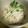 ぴーの助's cooksnap of when they made れんこんと大根の香ばしいサラダ.